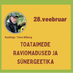Toataimede raviomadused ja sünergeetika. Toivo Niiberg. Laupäev, 28.veebruar kell 11:00 -14:00
