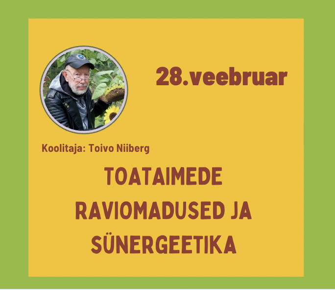 Toataimede raviomadused ja sünergeetika. Toivo Niiberg. Laupäev, 28.veebruar kell 11:00 -14:00